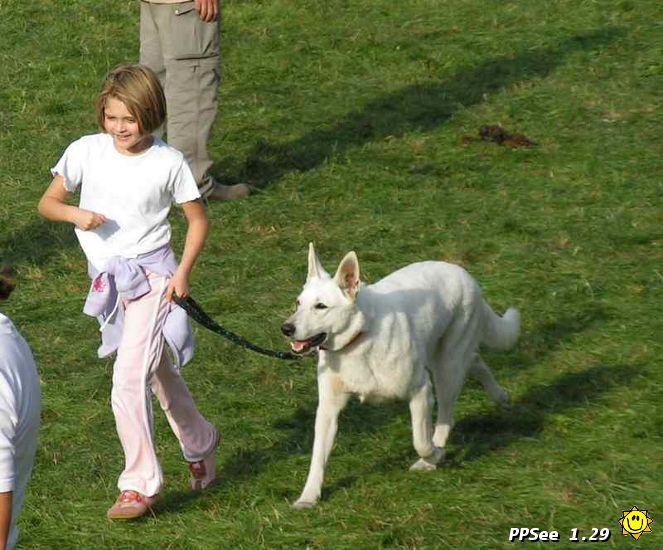 537.jpg