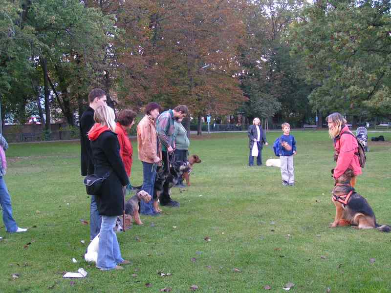  V�cvik pro Prahu 1