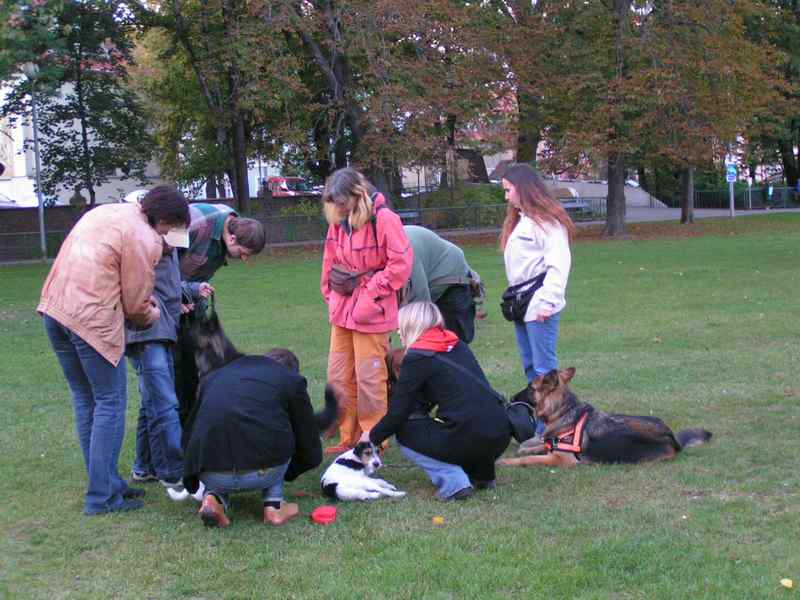  V�cvik pro Prahu 1