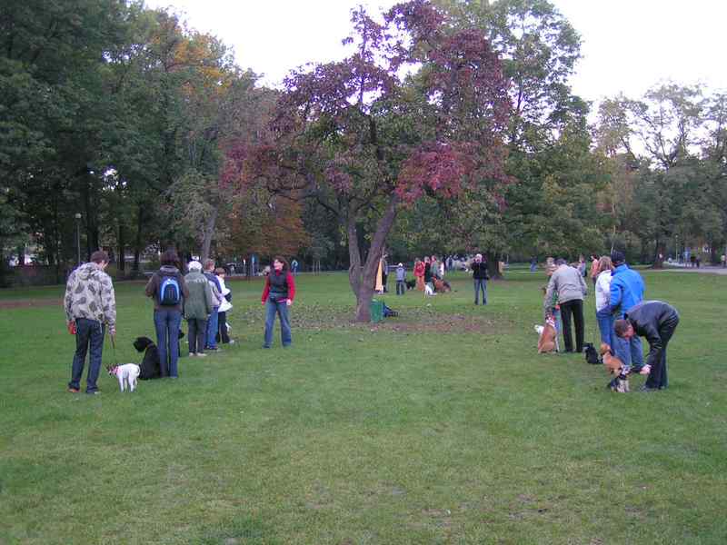  V�cvik pro Prahu 1