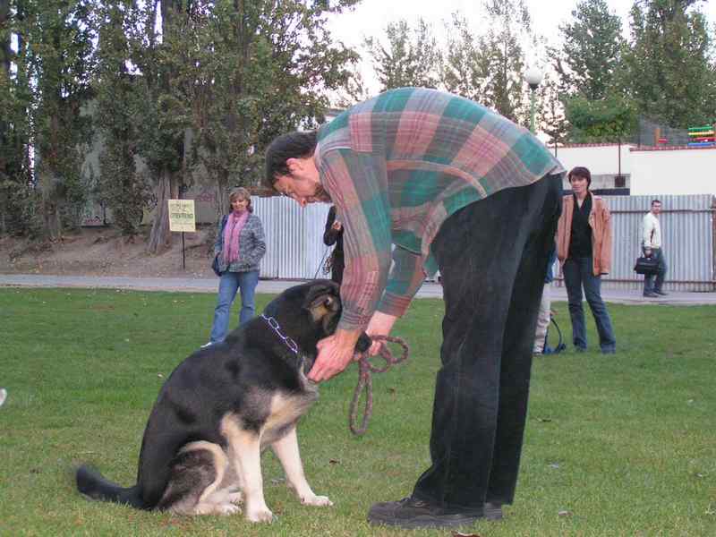  V�cvik pro Prahu 1