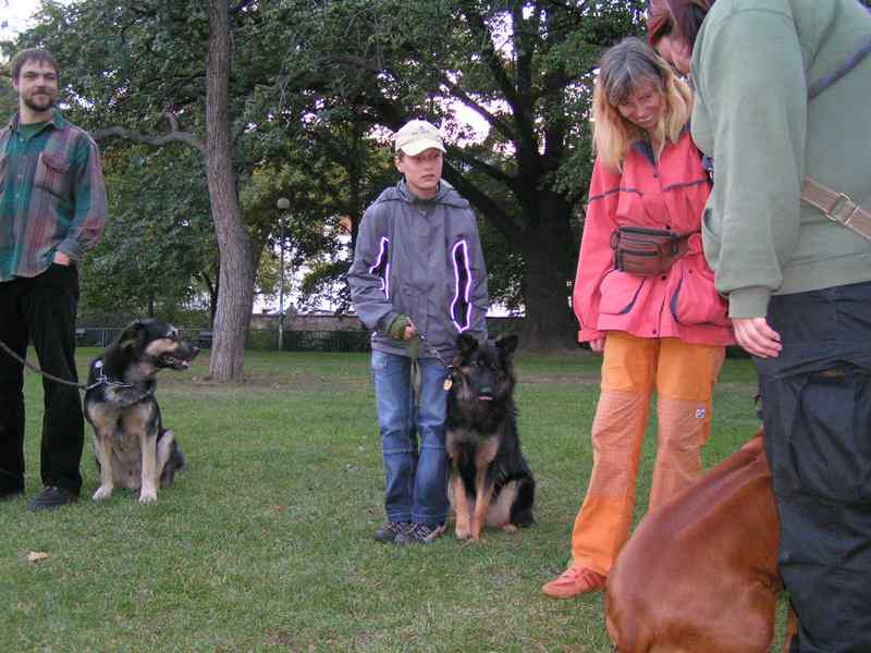  V�cvik pro Prahu 1